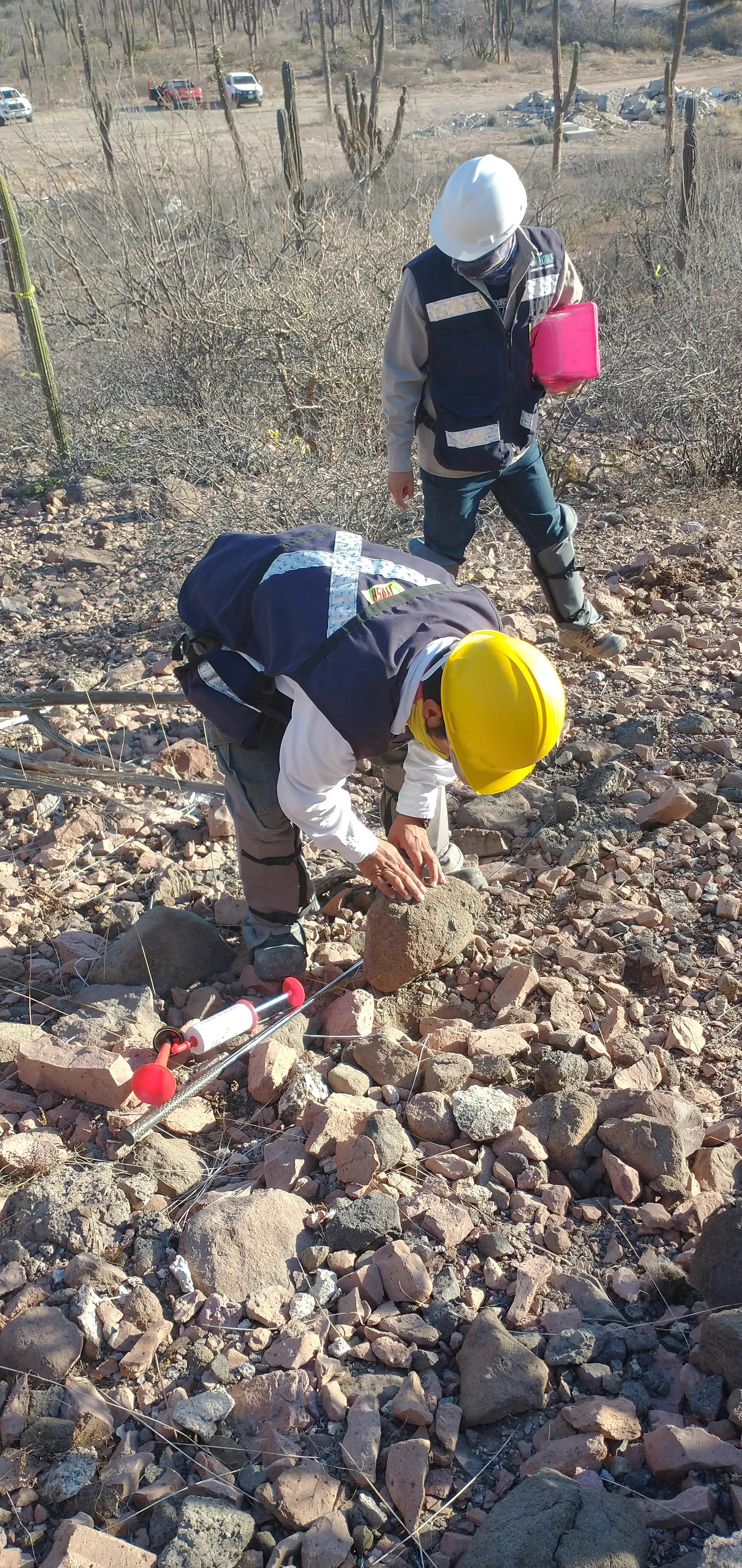Rescate de fauna silvestre